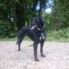 Good News For Dana! A happy ending for Dana