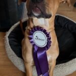 0e9d4e83-0ad7-4843-8140-dd258a16adea