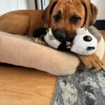 220a5da7-1525-4d76-add3-97e0f82a4c99