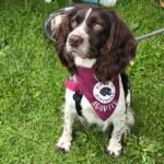 519158466_1135577675274007_6487965521498836486_n