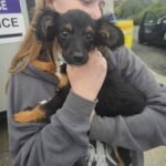 e460911d-07ab-4717-ad81-3c1b791f86e2